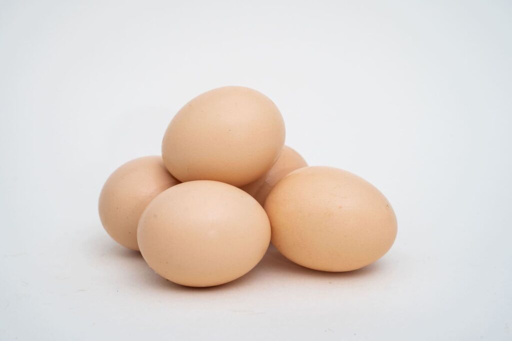 雞蛋